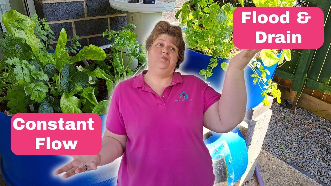 Explore Top Aquaponics Training Options Near Lawrence for Beginners